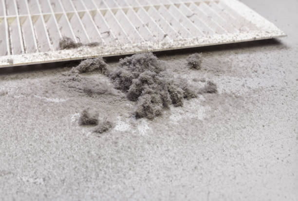 Best Affordable Air Duct Cleaning  in Bayou Lourse, LA