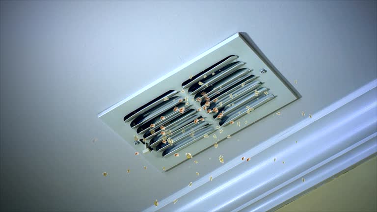 Best Professional Duct Cleaning Services  in Bayou Lourse, LA