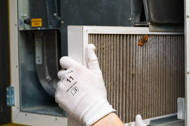 Best Air Duct Sanitizing Services  in Bayou Lourse, LA