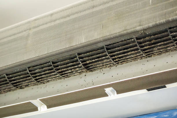Best Air Duct Cleaning Near Me  in Bayou Lourse, LA